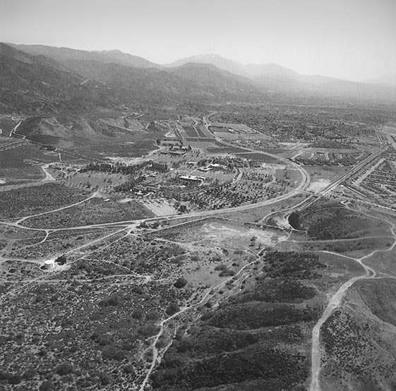 CSUSB History Timeline About CSUSB CSUSB